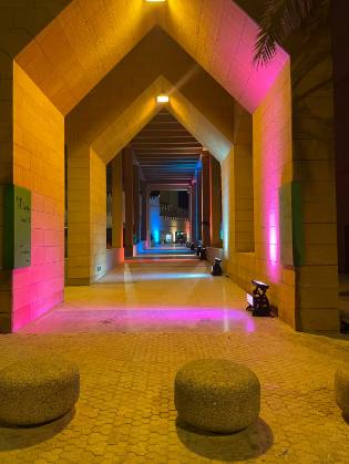 Aesthetic Lighting in the Diplomatic Quarter 2023
