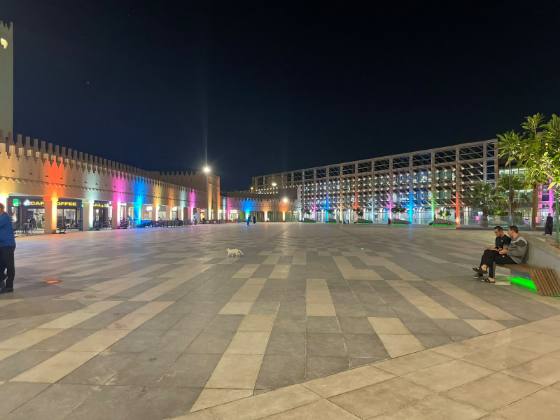 Aesthetic Lighting in the Diplomatic Quarter 2023