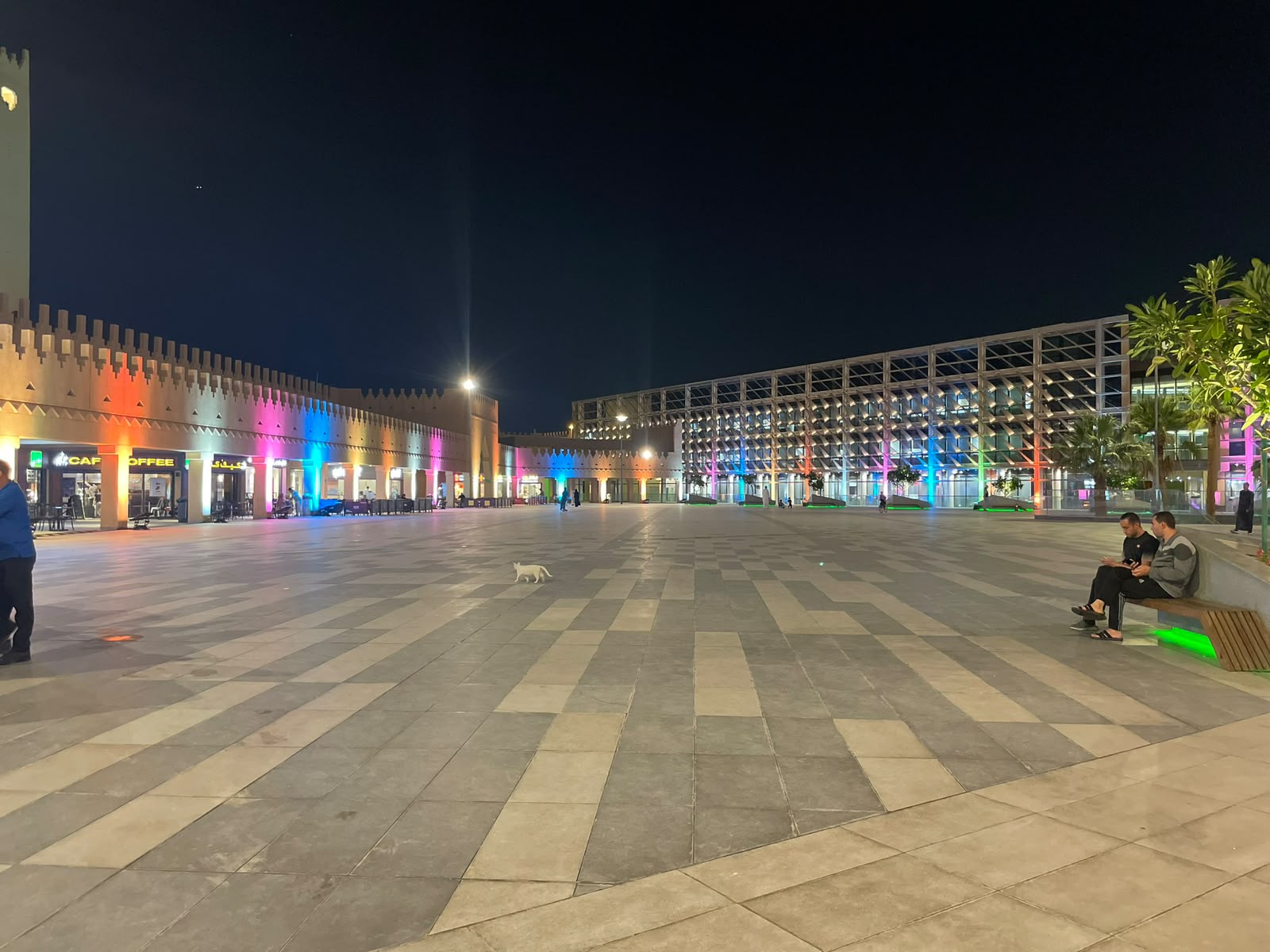 Aesthetic Lighting in the Diplomatic Quarter 2023